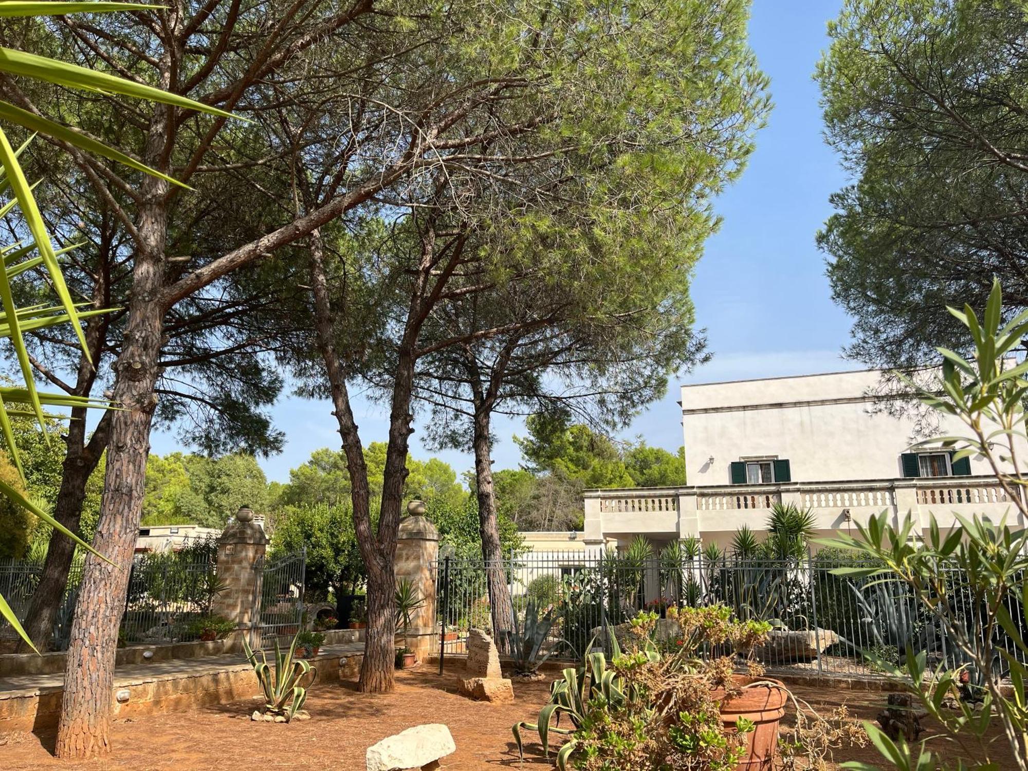 Masseria La Camardia Sava Luaran gambar