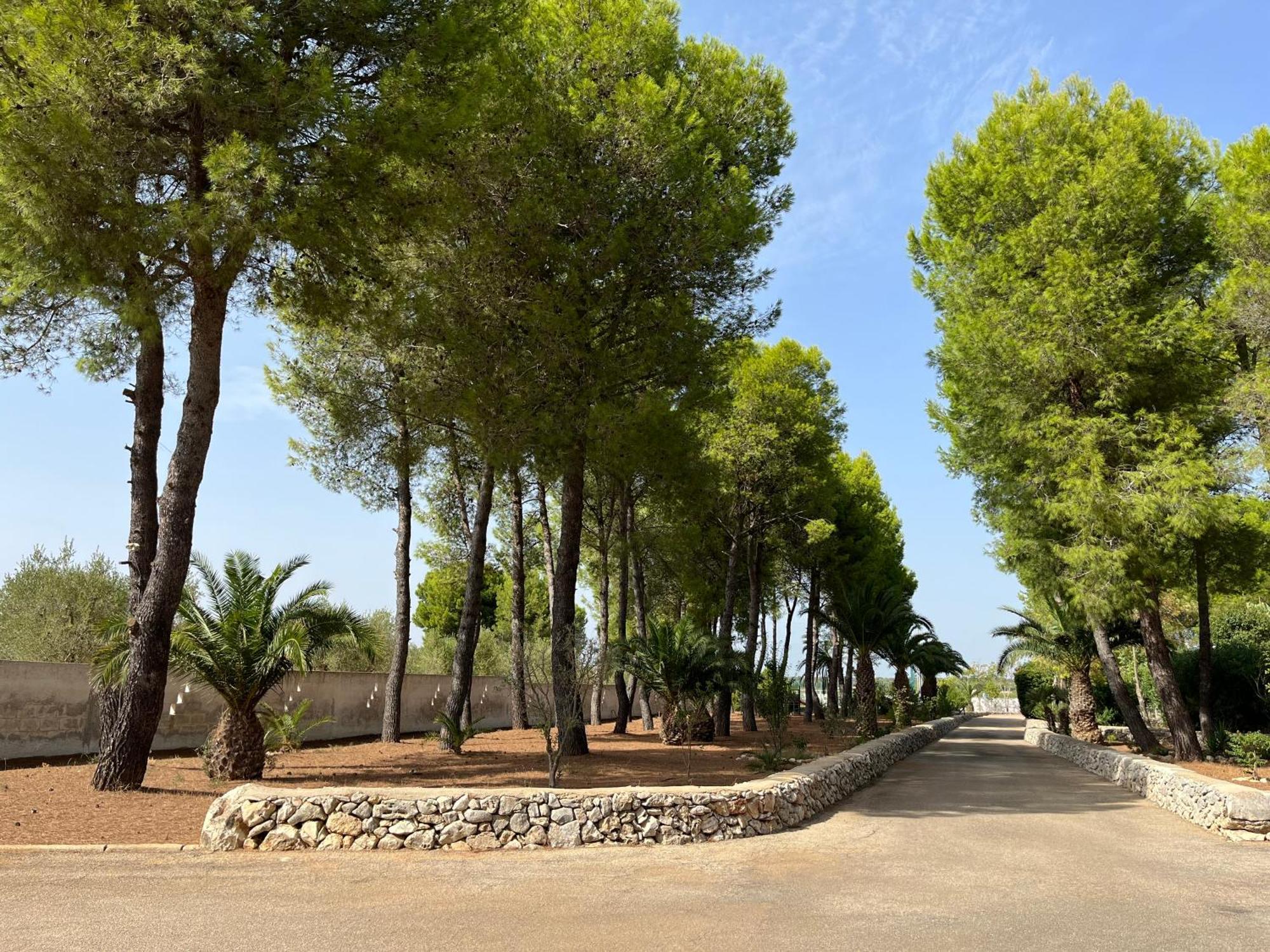 Masseria La Camardia Sava Luaran gambar