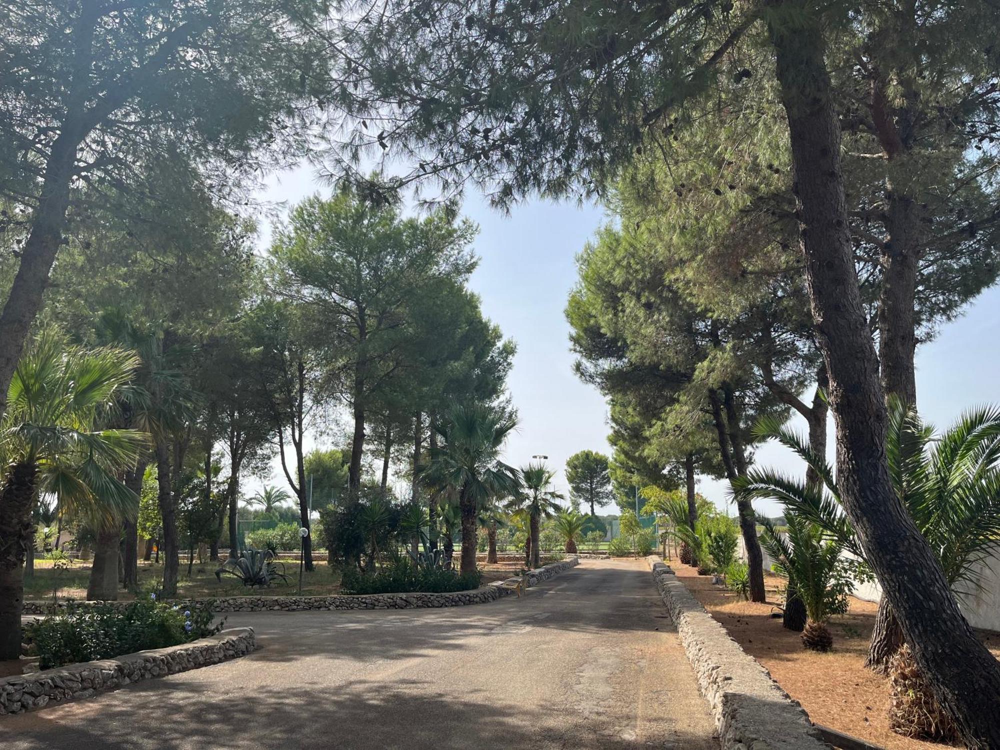 Masseria La Camardia Sava Luaran gambar