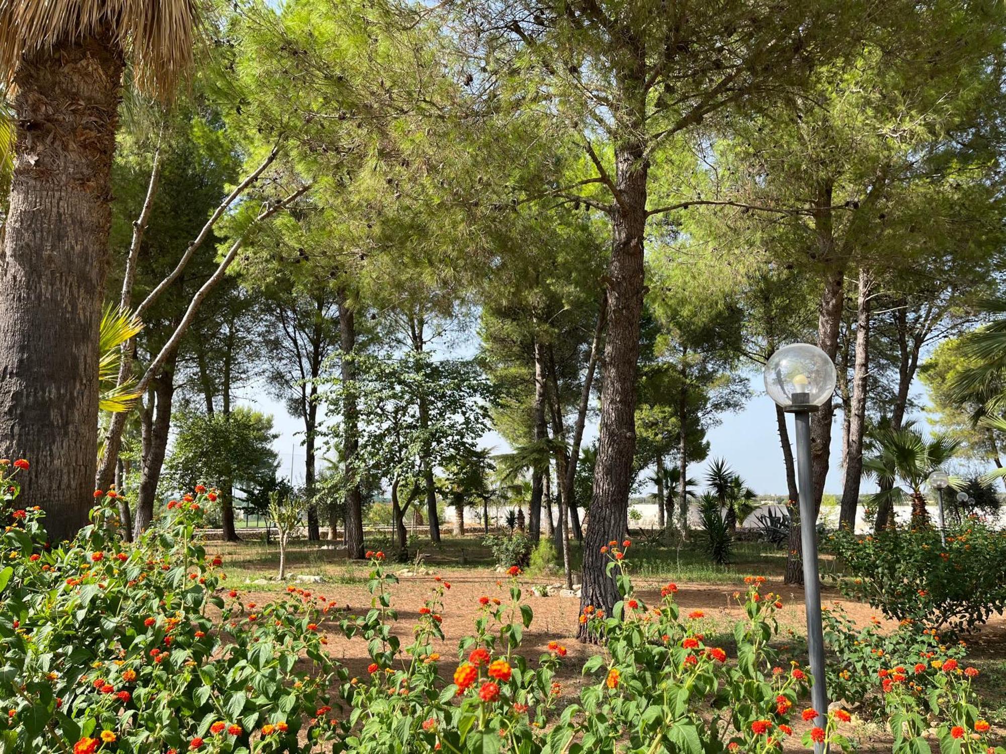 Masseria La Camardia Sava Luaran gambar