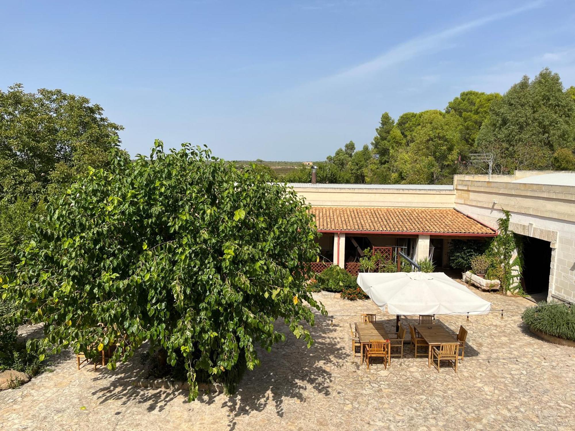 Masseria La Camardia Sava Luaran gambar