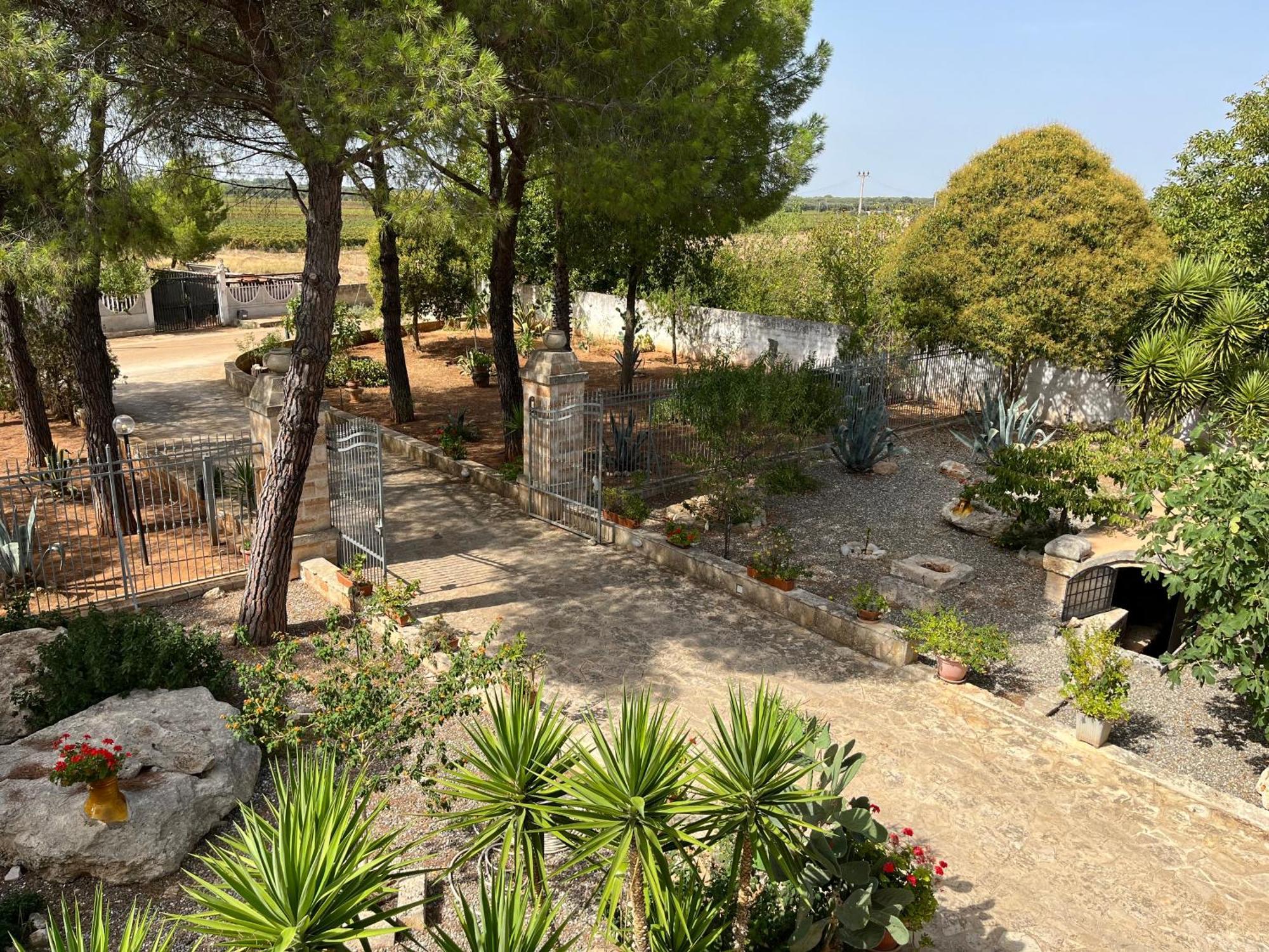 Masseria La Camardia Sava Luaran gambar