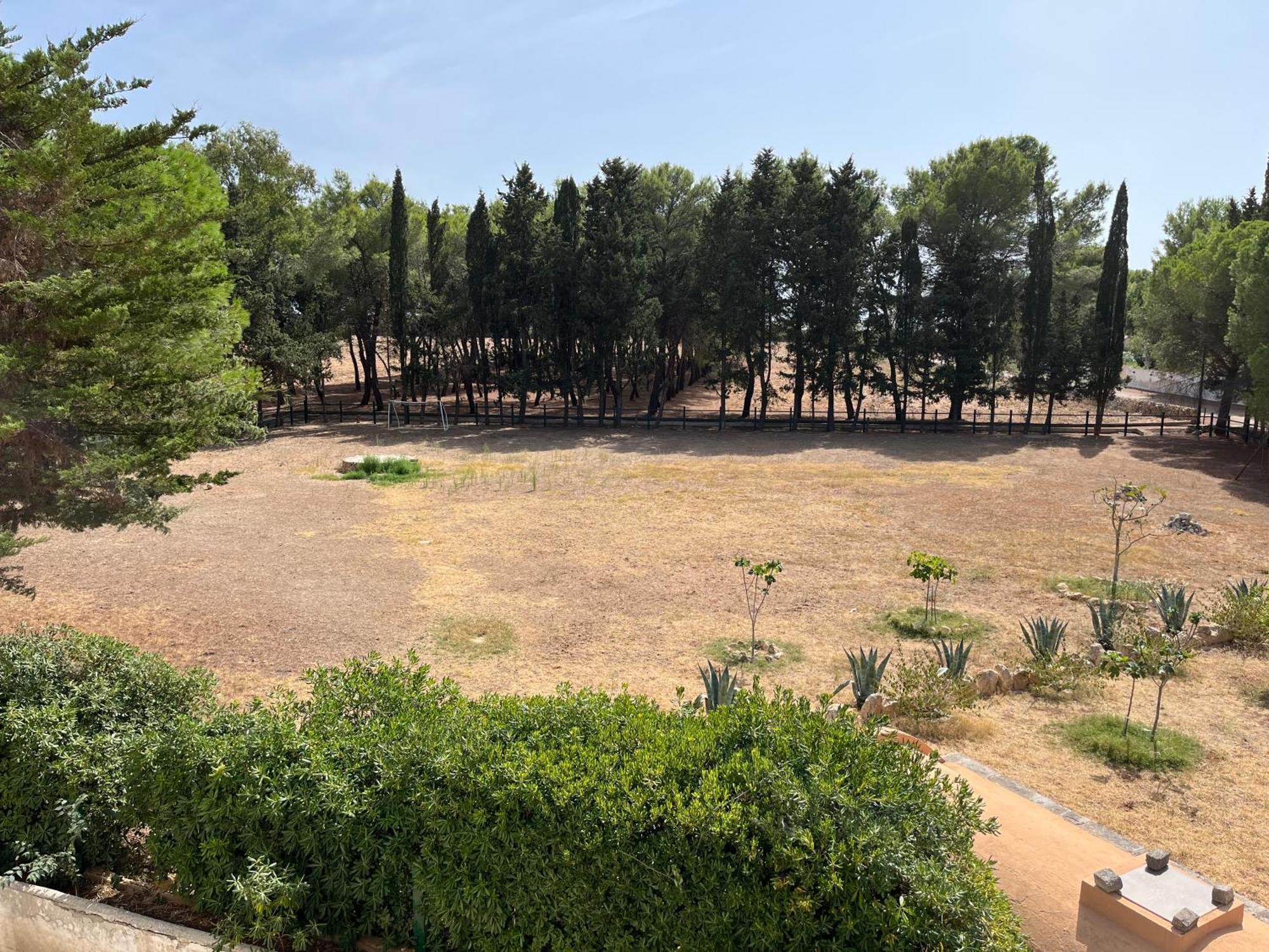 Masseria La Camardia Sava Luaran gambar