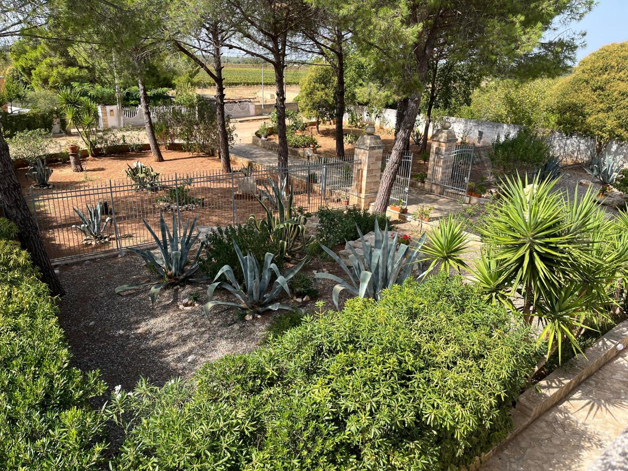 Masseria La Camardia Sava Luaran gambar